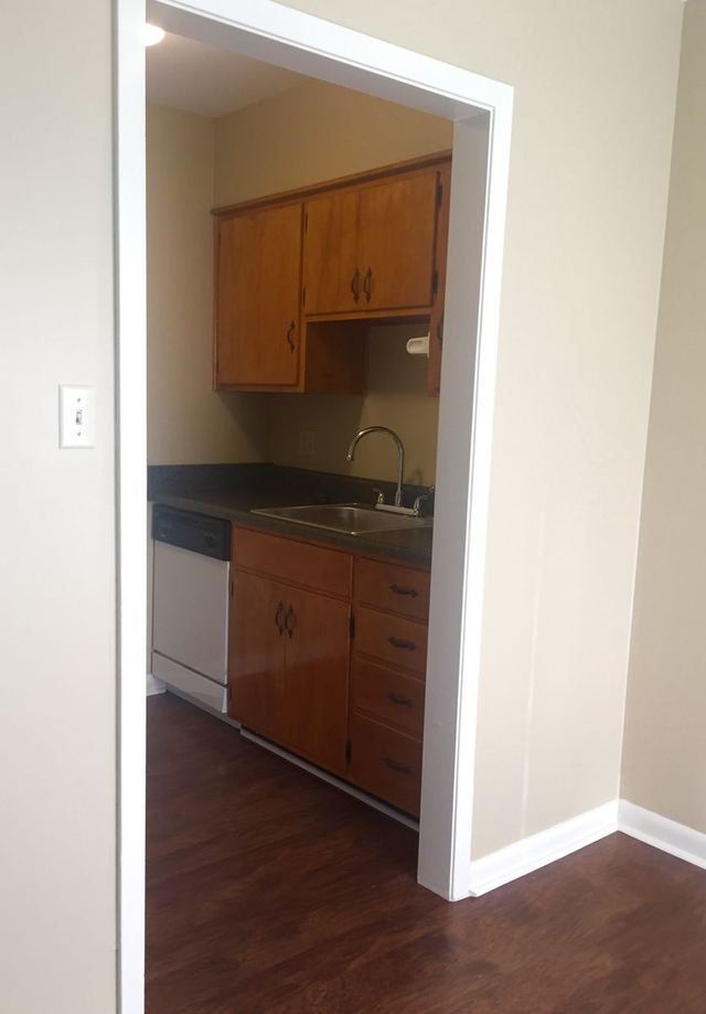 Kitchen sink area in Unit 203 with wood cabinets and a dark countertop